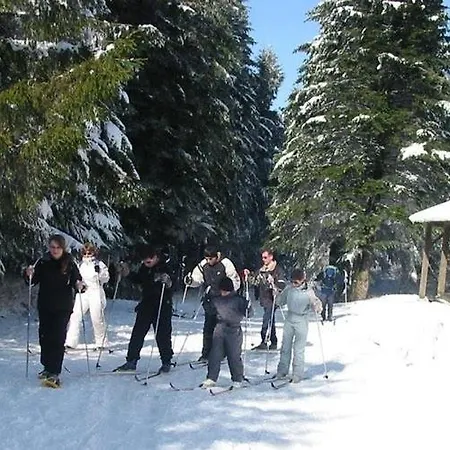 Appartemment Situe A Les Bains * Lacaune