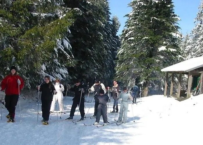 Appartemment Situé A Les Bains * Lacaune